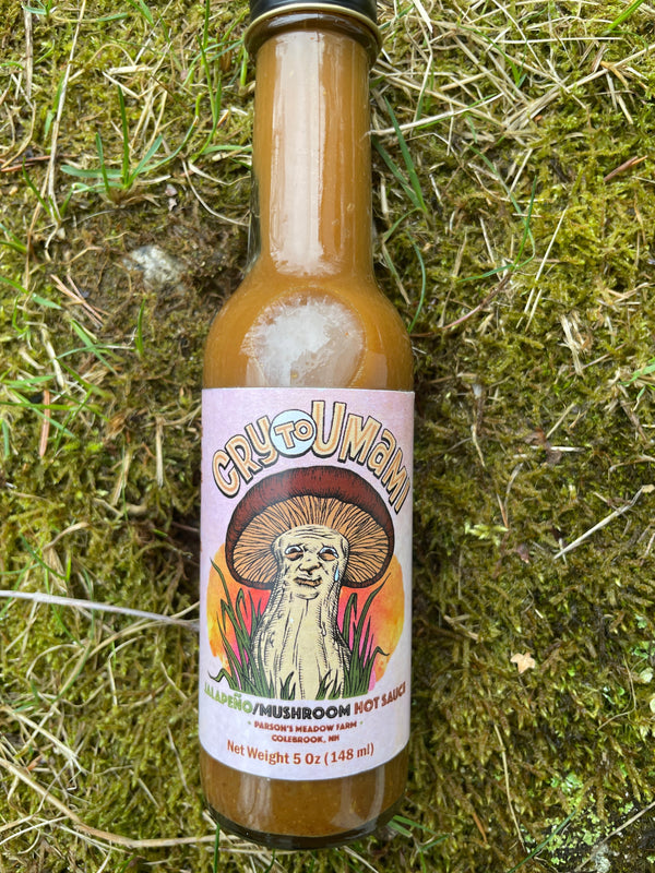 5 Ways to Use Cry to Umami
